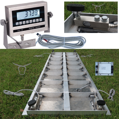 Portable Scales