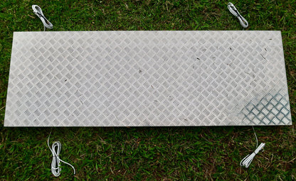 Portable Scales