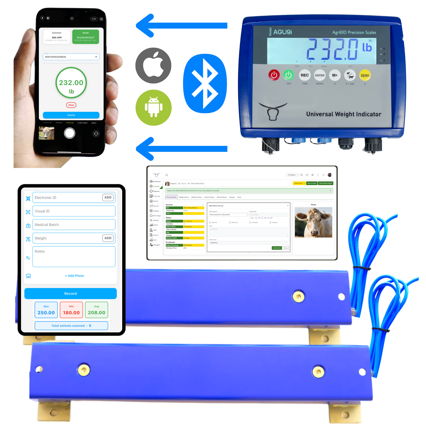 BT Ultra (Bars and Indicator)