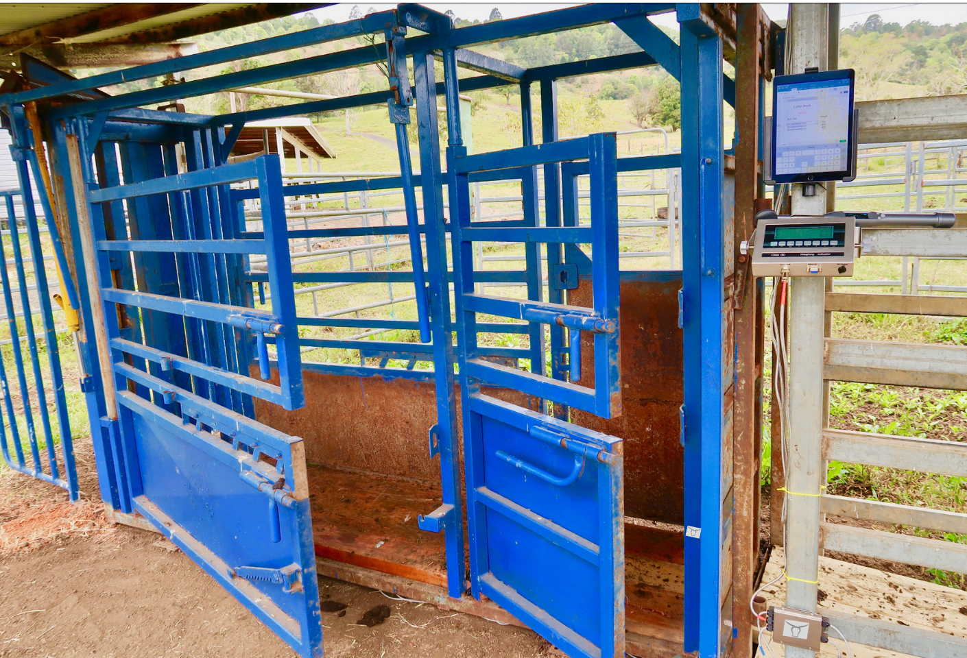 Livestock Scales Kit