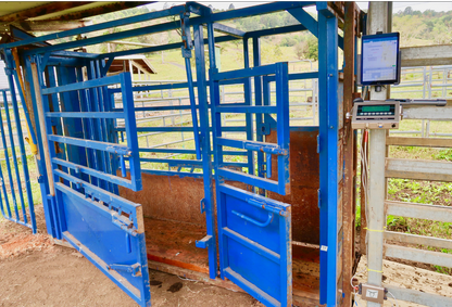 Livestock Scales Kit